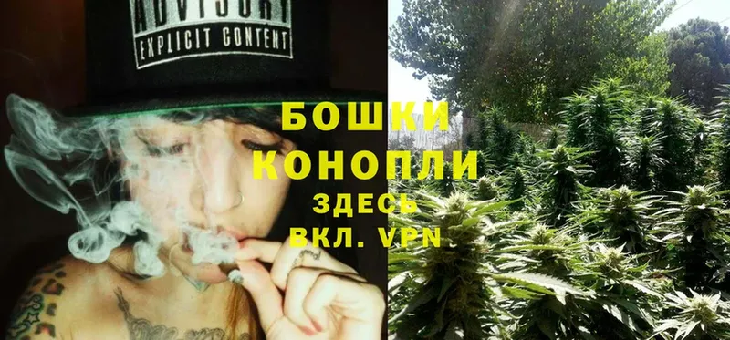 маркетплейс наркотические препараты  Заозёрск  Марихуана SATIVA & INDICA  где купить наркоту 